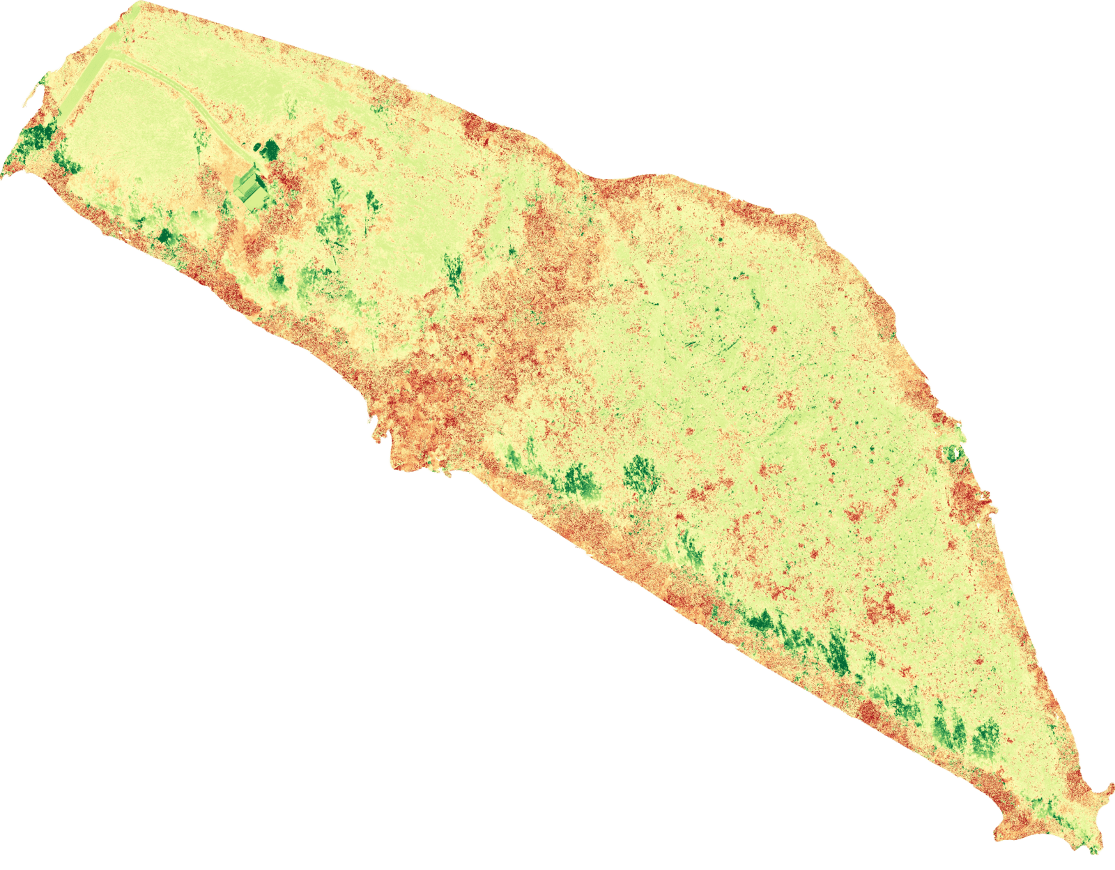 Cropy anaysis map using NDVI