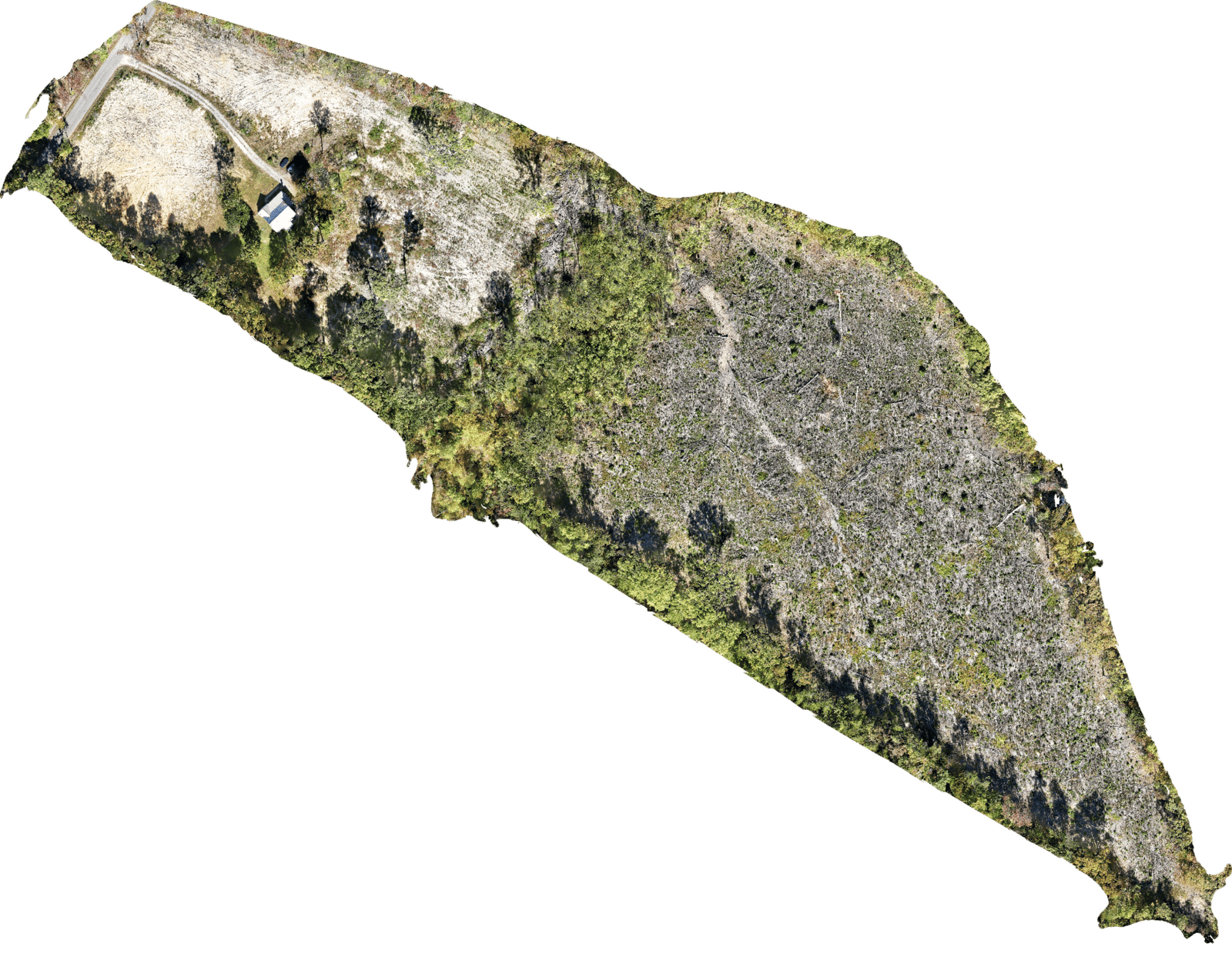 Aerial Photo of timber cleared land